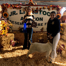 HJ Showstock Winners